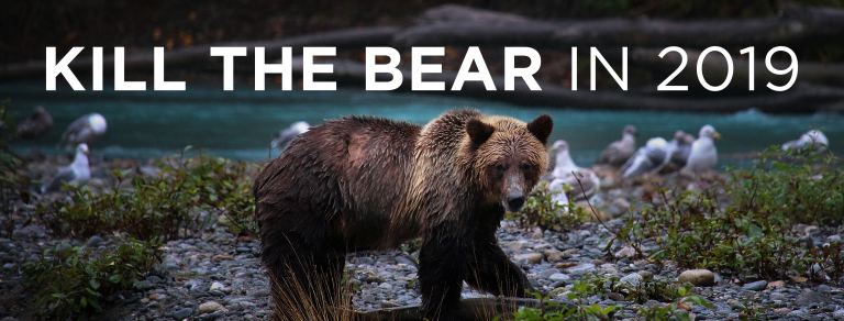 Read more about the article Kill the Bear
