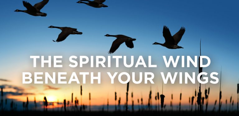 Read more about the article The Spiritual Wind Beneath Your Wings