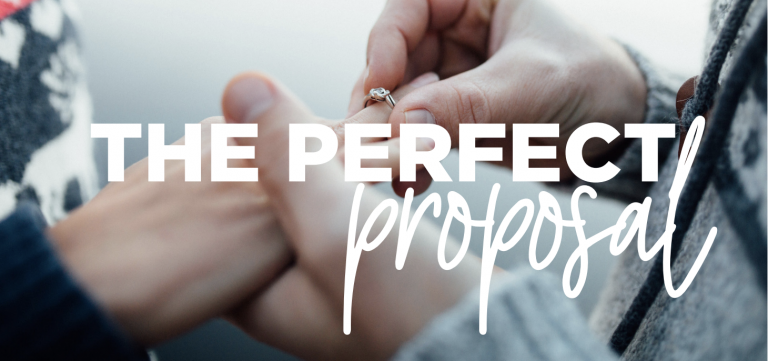 Read more about the article The Perfect Proposal