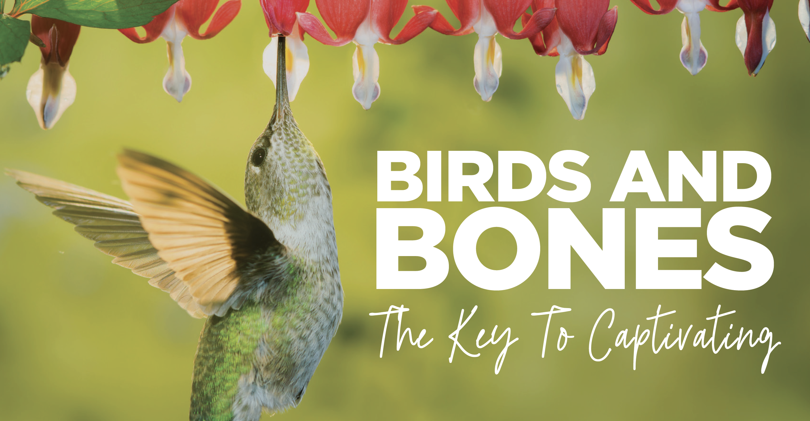 You are currently viewing Birds and Bones…the Key to Captivating