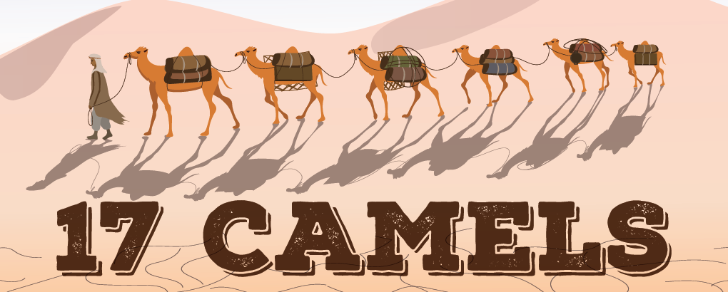 You are currently viewing 17 Camels